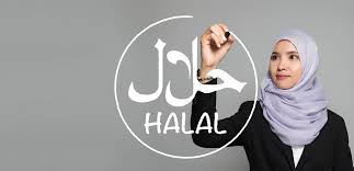 Halal Awareness PS 3733  Pakistan icon